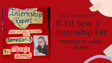 How to prepare Internship Report File  in B.ed Sem 3 | Presented by @anmoltalreja3995