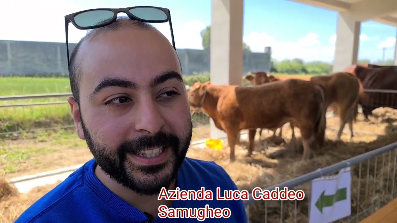 Fiera di San Marco a Ollastra. Migliaia di presenze per edizione da record