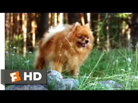 Lake Placid 3 (2010) - Eating a Dog Scene (2/10) | Movieclips