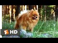 Lake Placid 3 2010 Eating A Dog Scene 2 10 Movieclips 