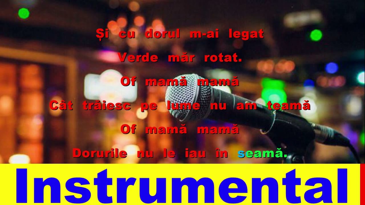 M-am născut lângă Carpați   Ion Dolănescu Karaoke Universal Ro