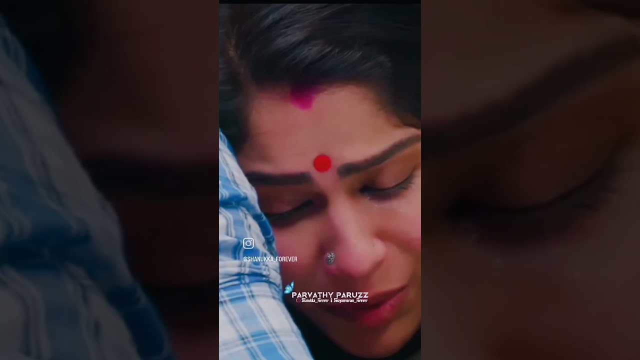 സീതേന്ദ്രിയം❤ #serial #love #viral #trending #swasika #shanavasactor #lovestatus #family#onemillion