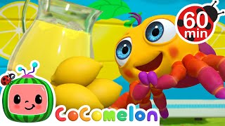 Itsy Bitsy Spider | CoComelon JJ's Animal Time Nursery Rhymes & Kids Songs | Love from Moonbug