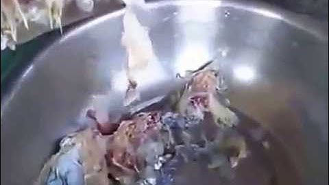 Máy tách xương cá, máy tách thịt cá, máy lọc xương cá, LH 0909134877