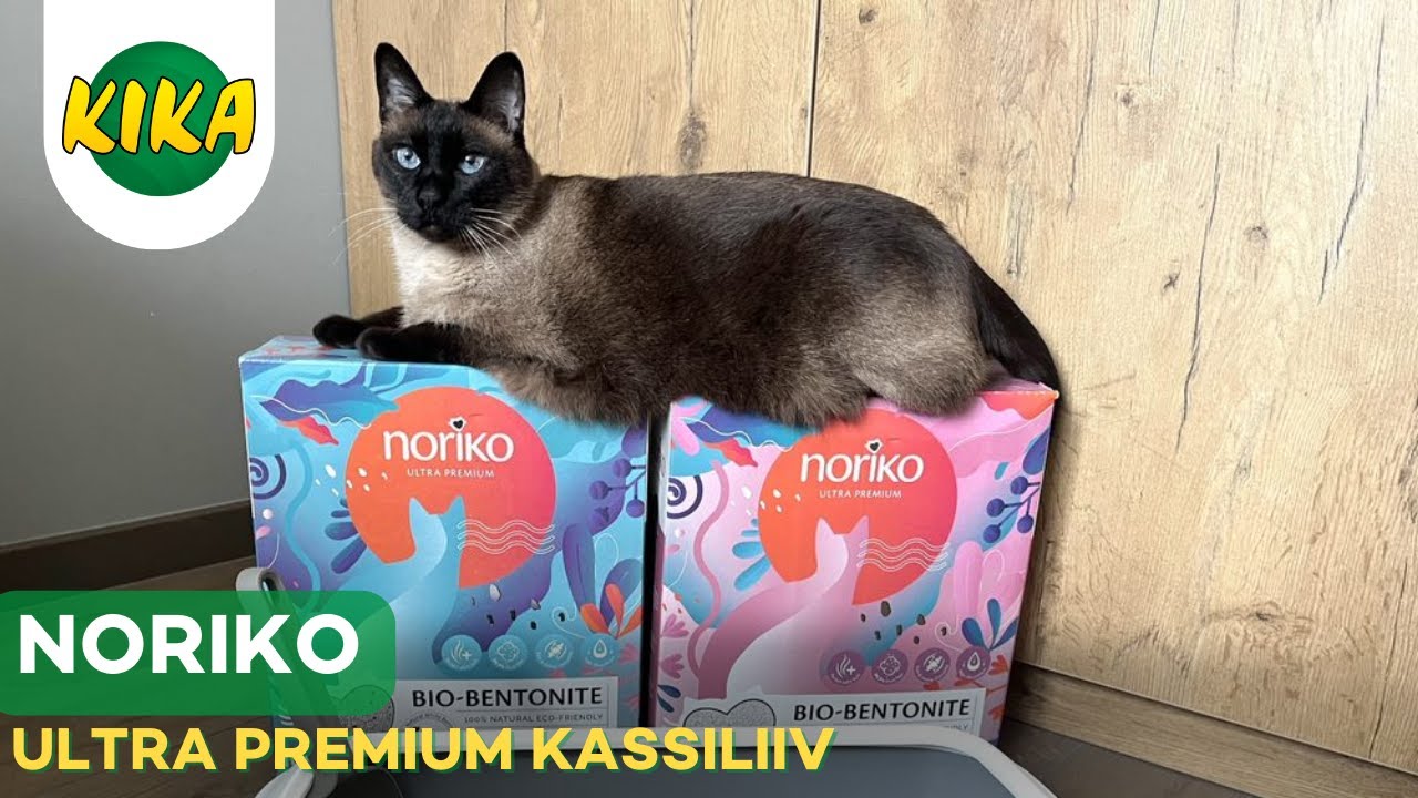 NORIKO Ultra Premium kassiliiv