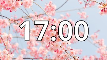 17 Minutes Timer with Music | Cherry Blossom Timer