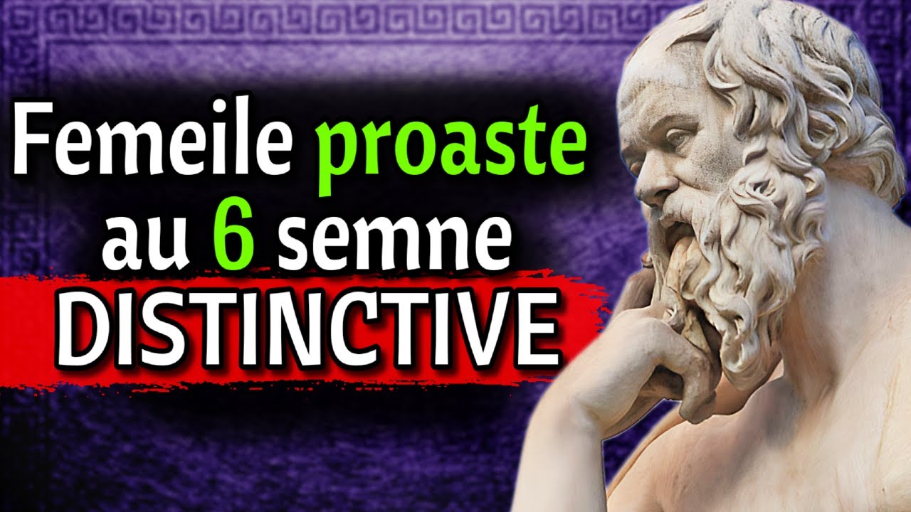 6 Semne că Femeia de lângă tine e DOXĂ la prostie | Legile de Viață ale lui SOCRATE