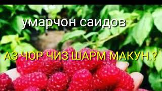 АЗ ЧОР ЧИЗ ШАРМ МАКУН. CLASS TO FORGET ME.