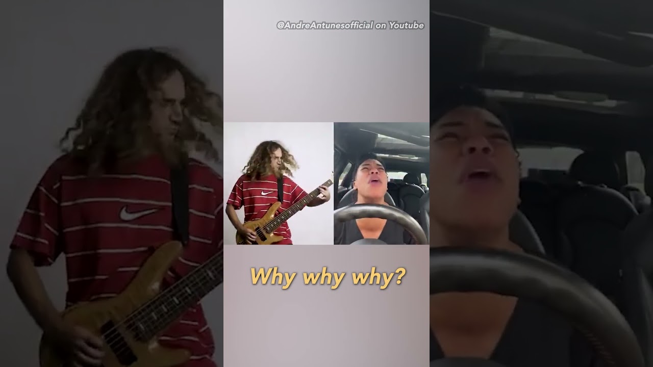 Heavy Metalist HYSTERICALLY Trolls Libs🤣