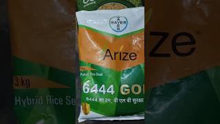 6444 gold। arize 6444 gold। bayer 6444 gold।  6444 gold paddy