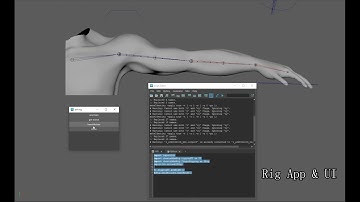 Arm Rig Tool Animation Demo
