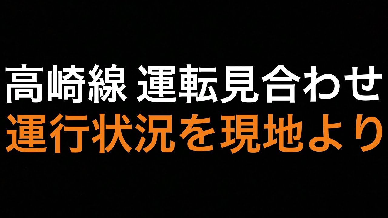 高崎 線 運行 状況
