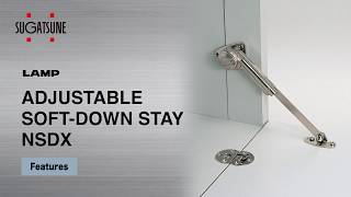 ADJUSTABLE SOFTDOWN LID STAY NSDX