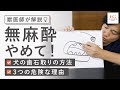 【獣医師が解説】無麻酔は絶対にNG！【犬の歯石取り】の方法と自分で除去をおすすめしない3つの理由