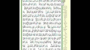 الصفحة ٧٧ من القرآن الكريم...القارئ د.بريك سعد بريك
