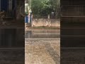 Listen to the rain #silentvisitor