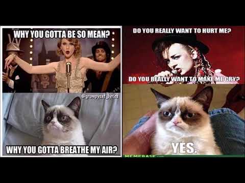 grumpy-cat-memes