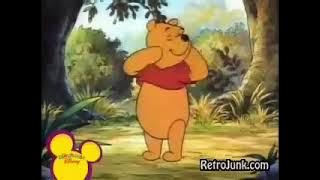 The New Adventures Of Winnie the Pooh Theme Song (Reversed)