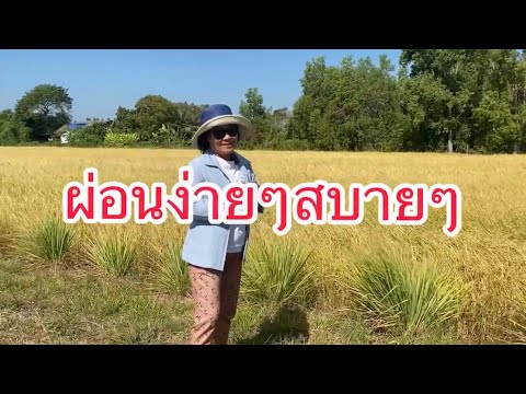 ผ่อนง่ายๆสบายๆ ขายบ้านไม้สักอายุ100ปี พร้อมที่ดินในจ.ฉะเชิงเทรา ผ่อนง่ายๆสบายๆ ขายบ้านไม้สักอายุ100ปี พร้อมที่ดินในจ.ฉะเชิงเทรา
