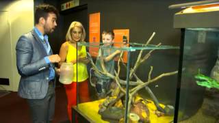 Destination Wa - Wa Museum Discovery Centre