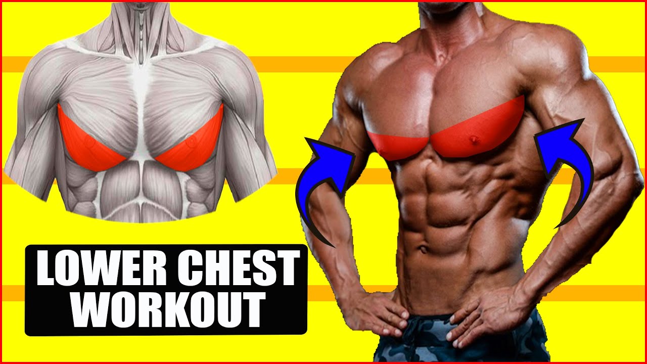 Lower Chest Routine Best Exercises Lower Chest Workout ( Chest Workout ) - YouTube