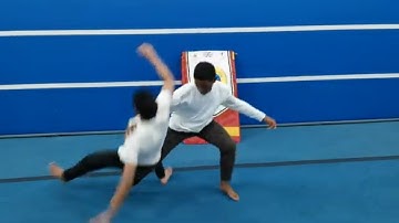 Kung Fu Break Down Of The Flow Vid 15 Mantis Kung Fu Sifu Bryan