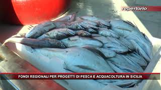 FONDI REGIONALI PER PROGETTI DI PESCA E ACQUACOLTURA IN SICILIA