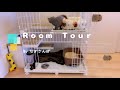 【ルームツアー】なぎルームツアー 　猫アイテム　ケージ【Room  Tour】