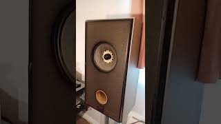Technics SB-65 speaker.