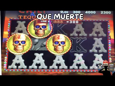 Jogue no árvore da fortuna e ganhe prêmios em nossos cassinos on-line no Brasil