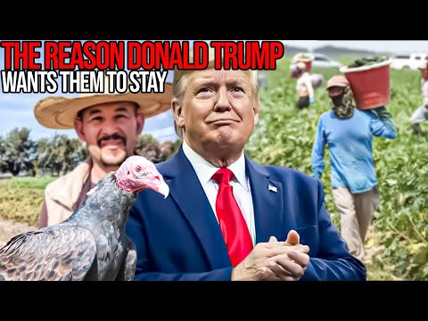 Has Trump Admitted He Needs The Undocumented South Of The Borderian?