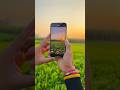 iPhone 12 camera ❤️ | #iphone12 #shorts #youtubeshorts #devhr71