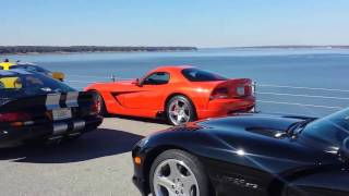 Dodge Vipers at the lake screenshot 2