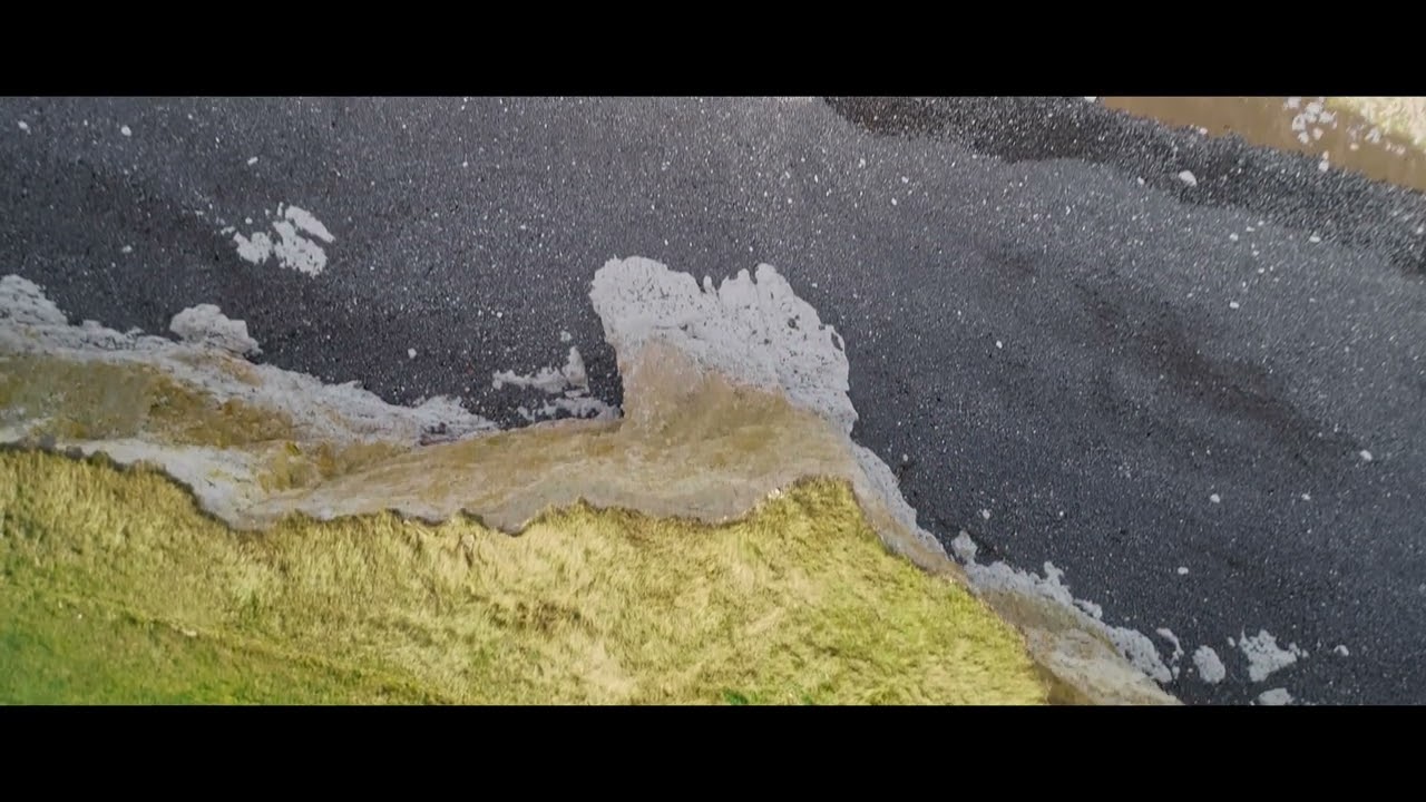 Le Bunker Planté de Sainte Marguerite sur mer/Quiberville