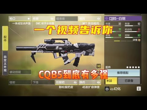 兄弟们这把枪太好玩啦！【使命召唤温酒】