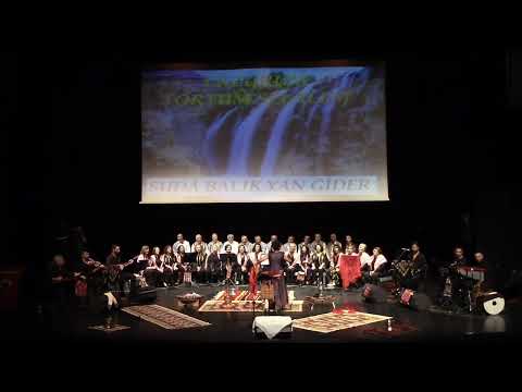 KORO-Suda Balık Yan