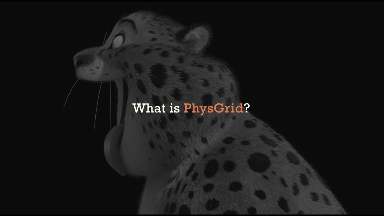 PhysGrid - PhysGrid
