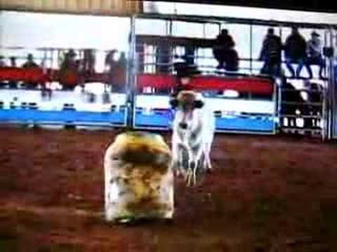 Calvin Thomas 13 yr old rodeo clown