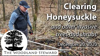 Clearing Honeysuckle & Other Trees & Shrubs; Our StepbyStep Process  December 20, 2020