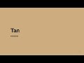 Tan: The Color of Quiet Earth Skin