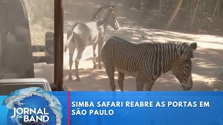 Download Lagu Simba Safari reabre as portas em São Paulo | Jornal da Band MP3 Download Lagu Simba Safari reabre as portas em São Paulo | Jornal da Band MP3