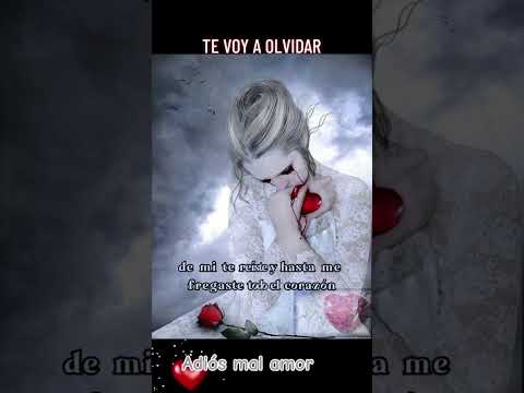 Adiós mal amor
