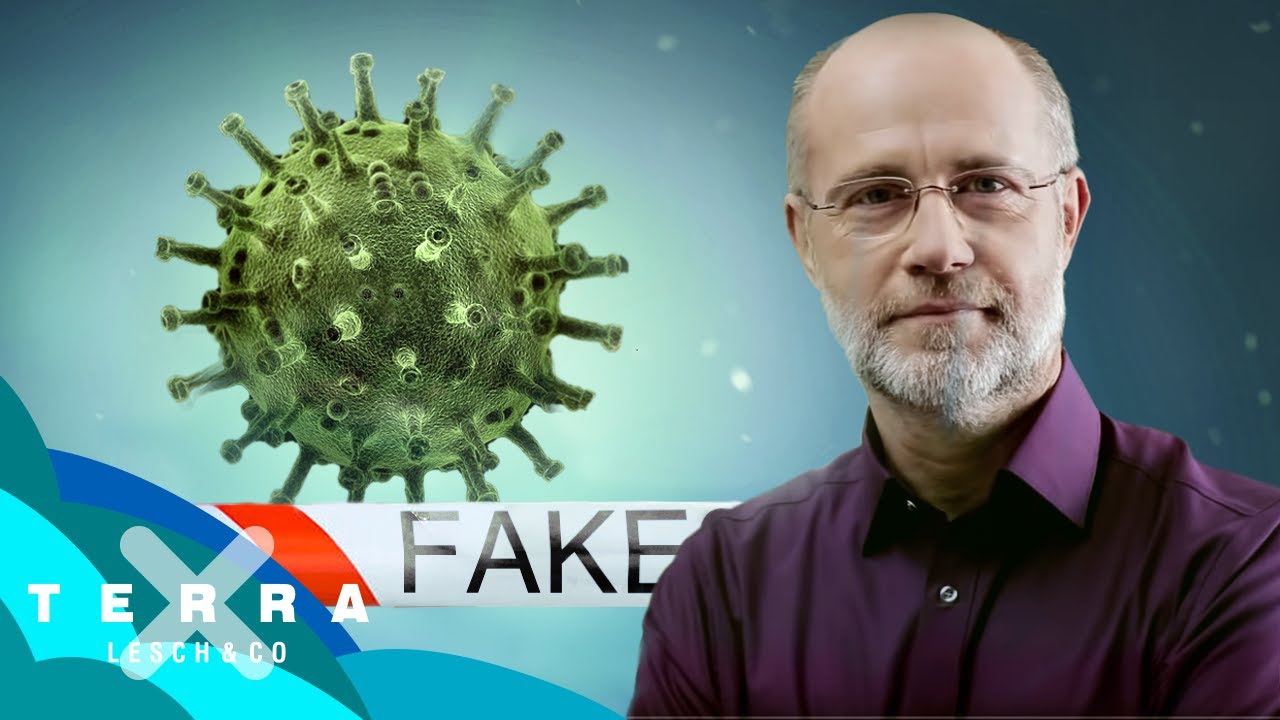 Coronavirus erklärt – das stellen die Covid-19-Viren in unserem Körper an | Erklärvideo | SRF News