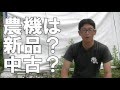 新規就農するときに農業用機械を揃える 新品か?中古か?