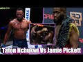 Two UFC Knockout Artists Made Their Debut Against Each Other [UFC Fight Night Thompson vs Neal]