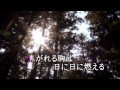 北条たくみ、逆瀬川、テロップ付き