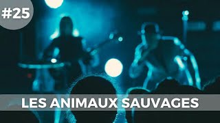 Musicology LIVE | Les Animaux Sauvages - Епизод 25