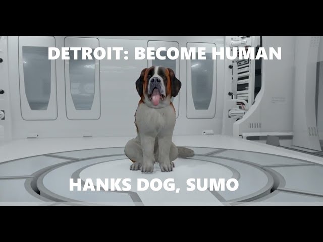 Detroit: Become Human Character Models [SUMO, HANKS DOG] 