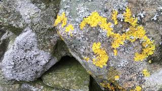 Northumberland National Park Workshop For The Landscape Discovery Centre