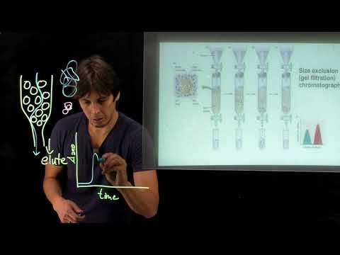 Topic 4.9 - Size exclusion chromatography